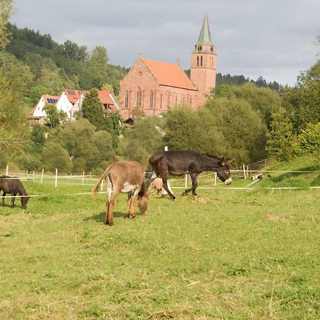 Ferienwohnung Spreter Zimmern ob Rottweil Екстериор снимка