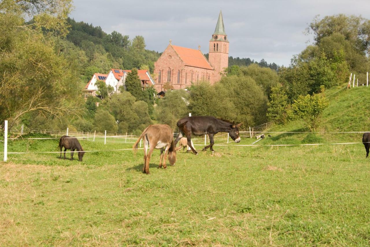 Ferienwohnung Spreter Zimmern ob Rottweil Екстериор снимка